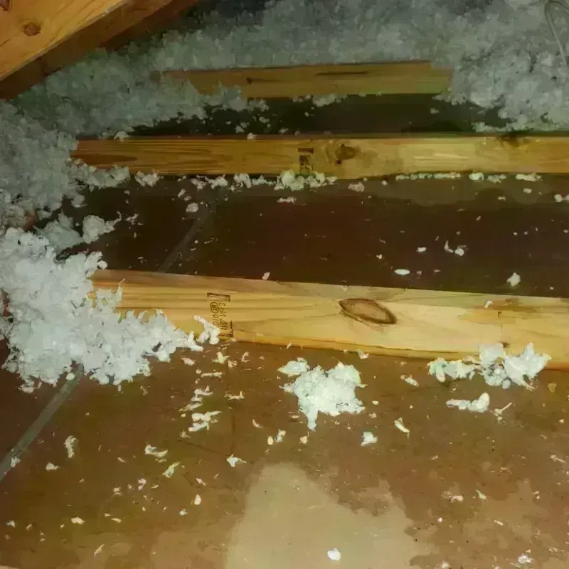 Attic Water Damage in Lakeway, TX