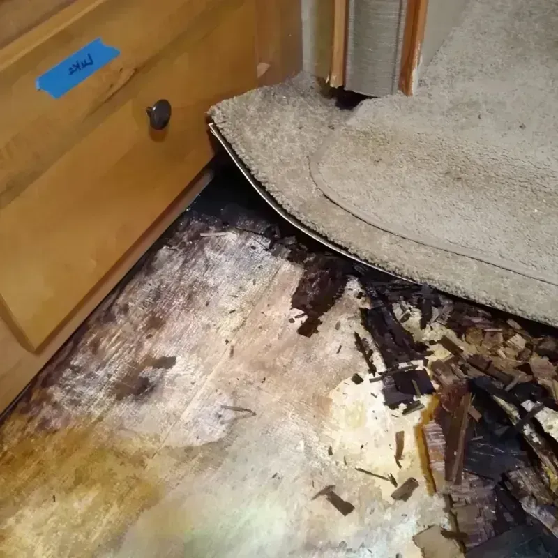 Wood Floor Water Damage in Lakeway, TX